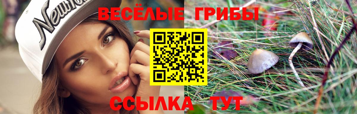 Нижневартовск  Галлюциногенные грибы ЛСД  Вход с VPN  Галлюциногенные грибы мухоморы 