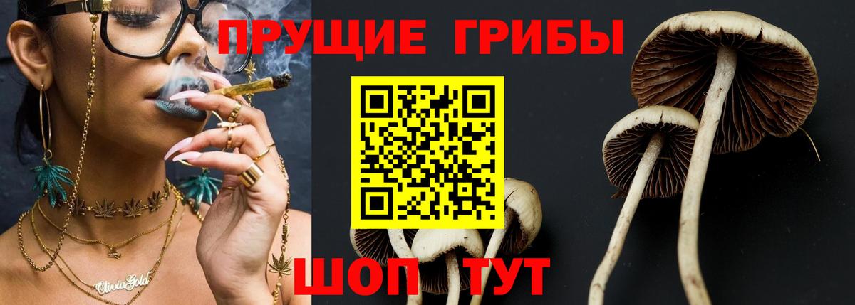 Псилоцибиновые грибы GOLDEN TEACHER Нижневартовск